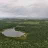 Gerbolski